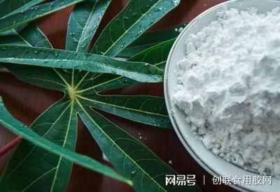 食用木薯变性淀粉的发展与应用