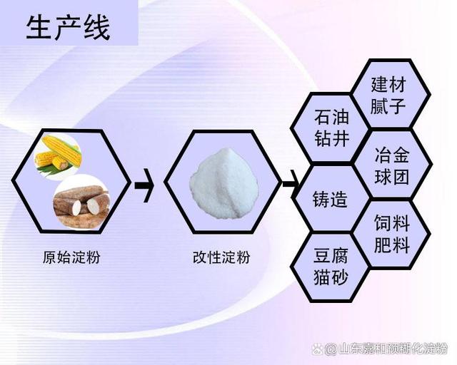 木薯变性淀粉生应用.ppt