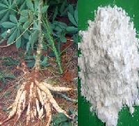 磷酸酯双淀粉在江苏无锡金陵塔公司的应用与发展